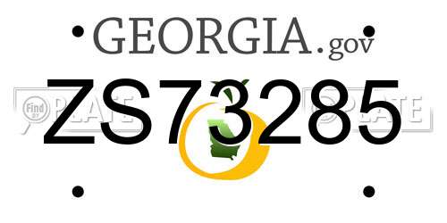 ZS73285 Georgia License Plate
