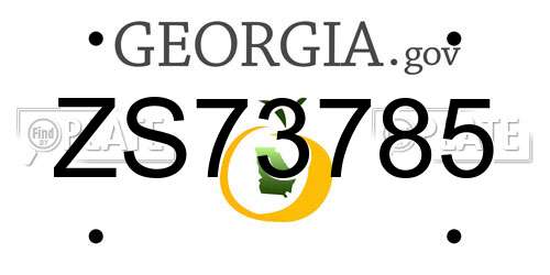ZS73785 Georgia License Plate