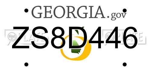 ZS8D446 Georgia License Plate