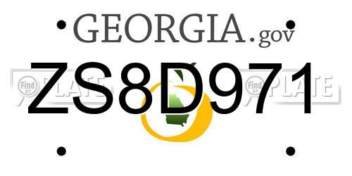 ZS8D971 Georgia License Plate