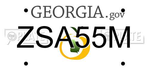 ZSA55M Georgia License Plate