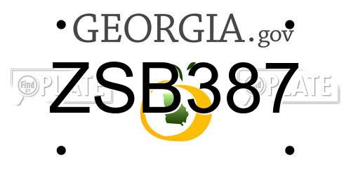 ZSB387 Georgia License Plate