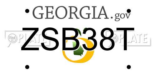 ZSB38T Georgia License Plate