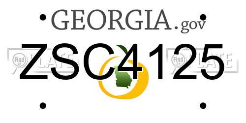 ZSC4125 Georgia License Plate