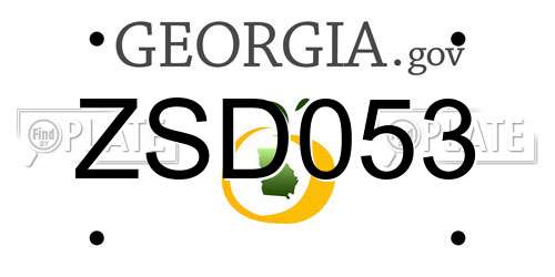 ZSD053 Georgia License Plate