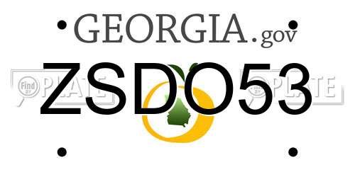 ZSDO53 Georgia License Plate