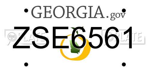 ZSE6561 Georgia License Plate