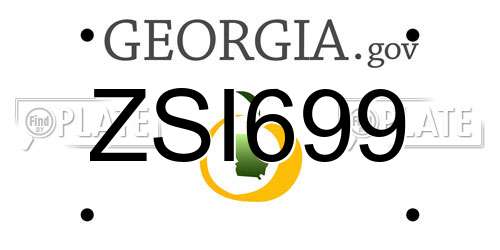 ZSI699 Georgia License Plate