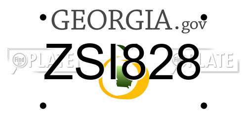 ZSI828 Georgia License Plate