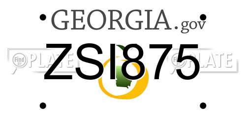 ZSI875 Georgia License Plate