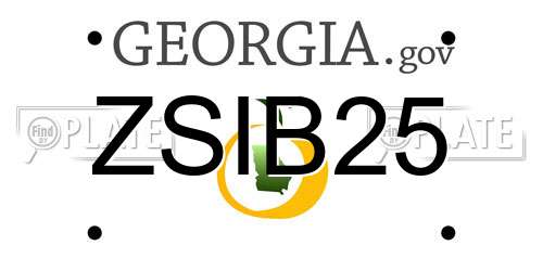 ZSIB25 Georgia License Plate