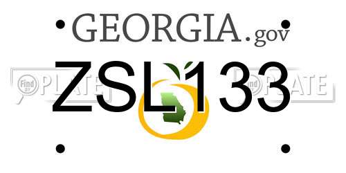 ZSL133 Georgia License Plate