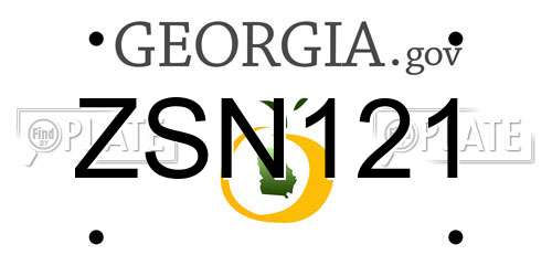 ZSN121 Georgia License Plate