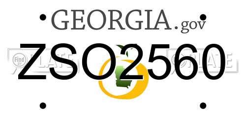 ZSO2560 Georgia License Plate