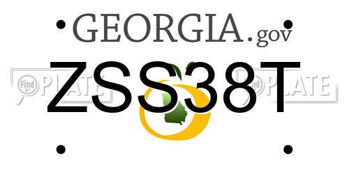 ZSS38T Georgia License Plate