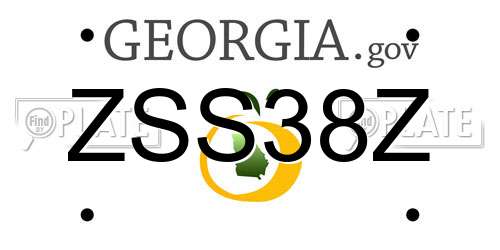 ZSS38Z Georgia License Plate