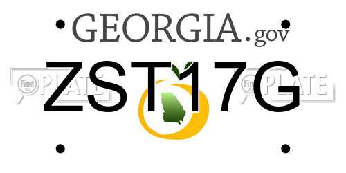 ZST17G Georgia License Plate