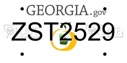ZST2529 Georgia License Plate