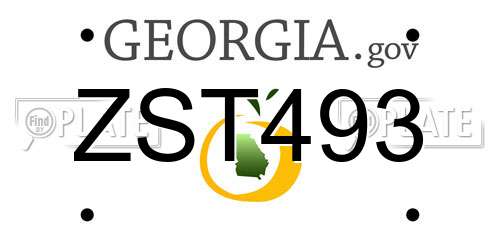 ZST493 Georgia License Plate