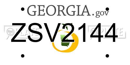 ZSV2144 Georgia License Plate