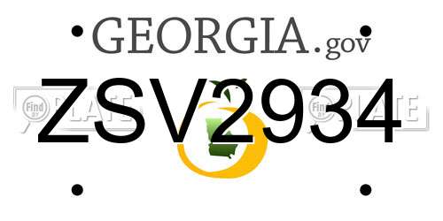 ZSV2934 Georgia License Plate