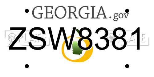 ZSW8381 Georgia License Plate