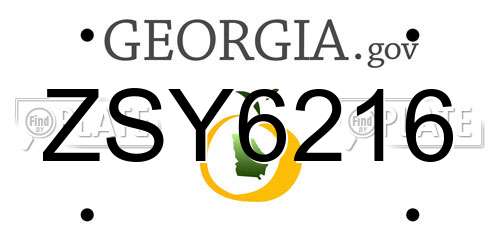 ZSY6216 Georgia License Plate