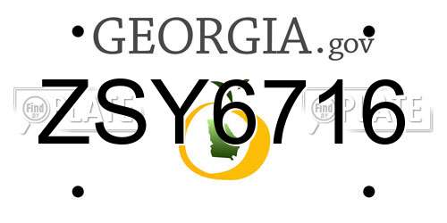 ZSY6716 Georgia License Plate