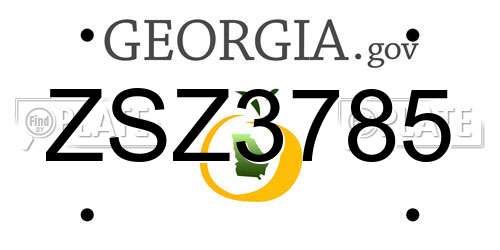 ZSZ3785 Georgia License Plate