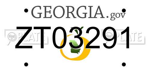 ZT03291 Georgia License Plate