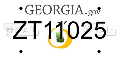 ZT11025 Georgia License Plate