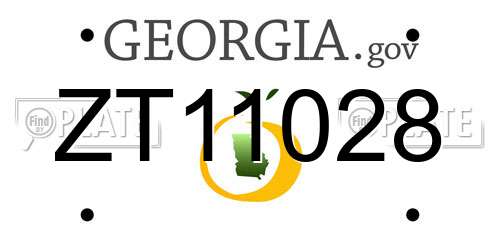 ZT11028 Georgia License Plate