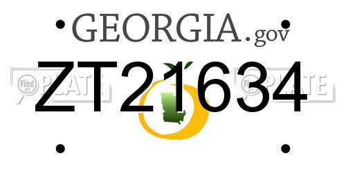 ZT21634 Georgia License Plate