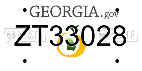 ZT33028 Georgia License Plate