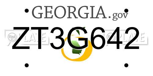 ZT3G642 Georgia License Plate