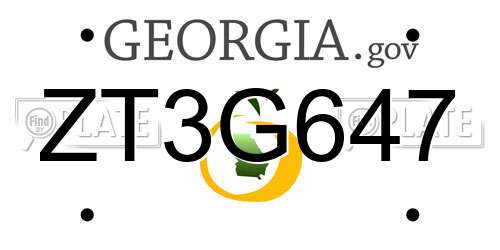 ZT3G647 Georgia License Plate