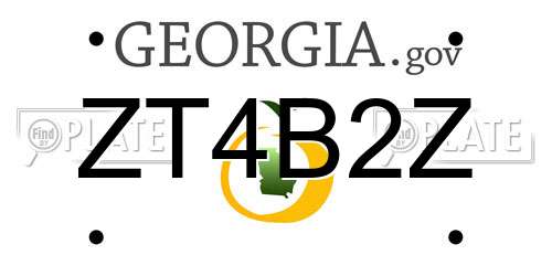 ZT4B2Z Georgia License Plate
