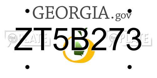 ZT5B273 Georgia License Plate