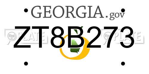 ZT8B273 Georgia License Plate