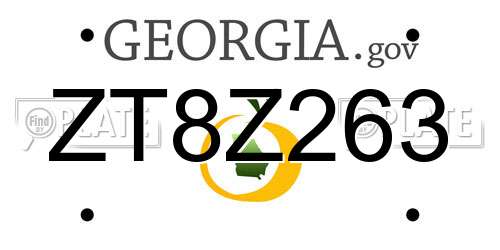 ZT8Z263 Georgia License Plate