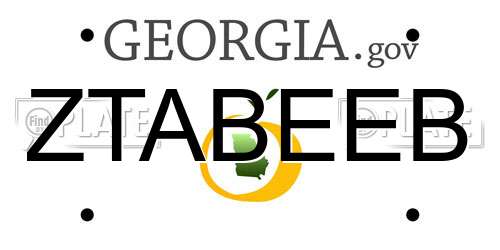 ZTABEEB Georgia License Plate
