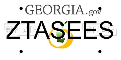 ZTASEES Georgia License Plate