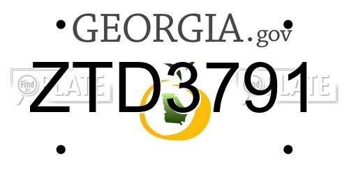 ZTD3791 Georgia License Plate