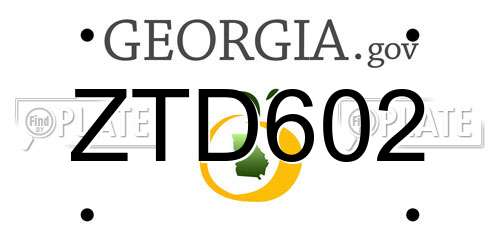 ZTD602 Georgia License Plate