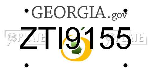 ZTI9155 Georgia License Plate