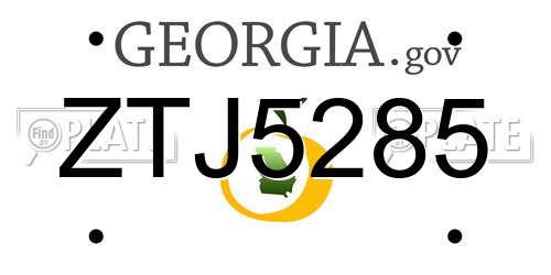 ZTJ5285 Georgia License Plate