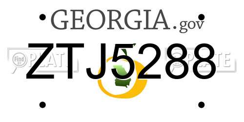 ZTJ5288 Georgia License Plate