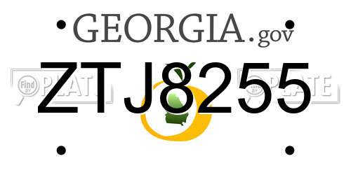 ZTJ8255 Georgia License Plate