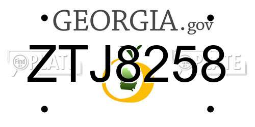 ZTJ8258 Georgia License Plate