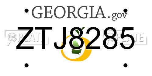 ZTJ8285 Georgia License Plate